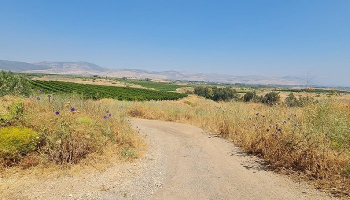 עין ירדה נחל מחניים חרבת ירדה