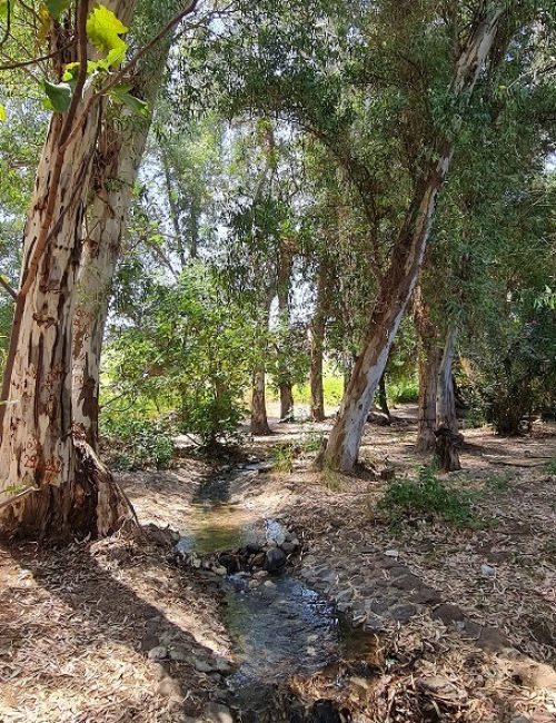עין ירדה נחל מחניים חרבת ירדה