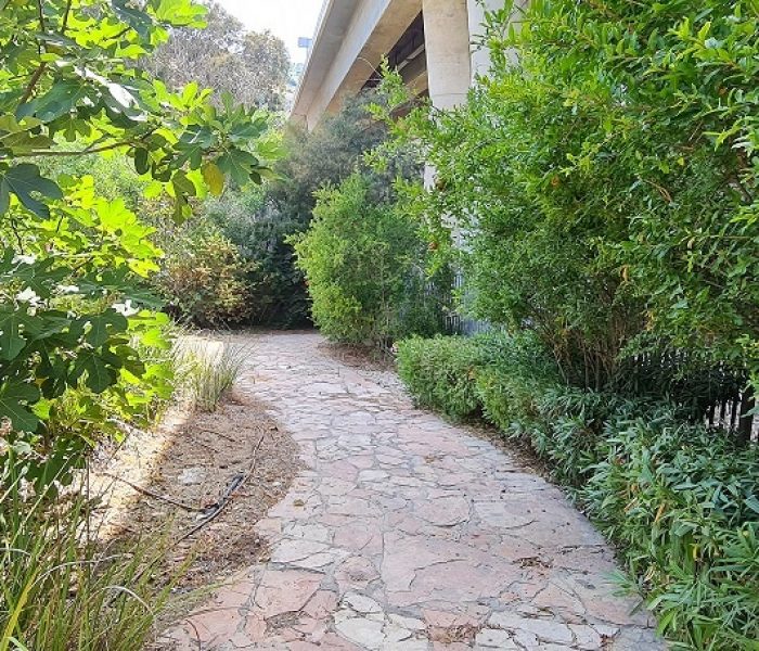 נחל סעדיה – פנינת הטבע הכי מפתיעה של חיפה