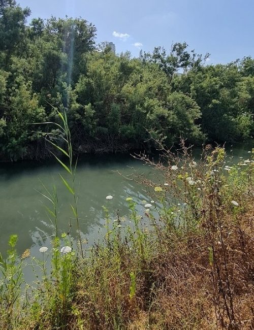 נחל סעדיה – פנינת הטבע הכי מפתיעה של חיפה