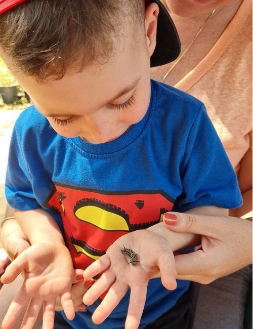 משתלת הפרפרים בחוף הכרמל – אטרקציה לכל המשפחה