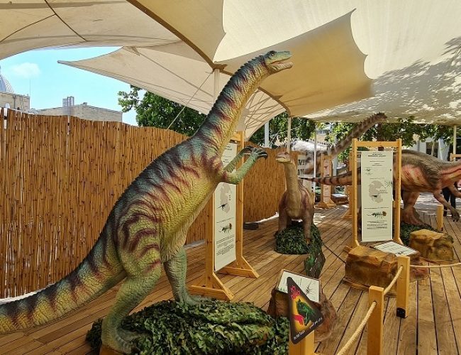 מדעטק חיפה – המוזיאון הלאומי למדע טכנולוגי וחלל