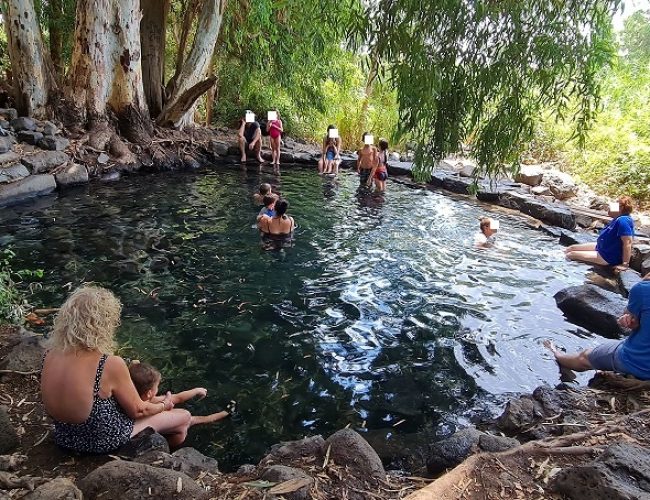 עין אמפי עין אקליפטוס