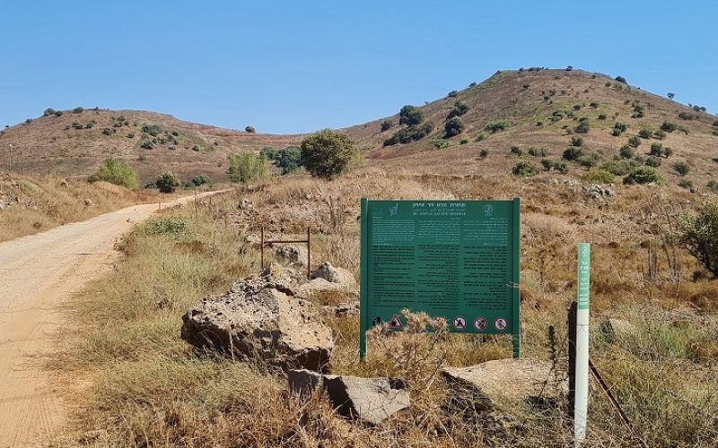 שמורת הטבע הר שיפון