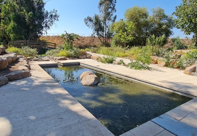 פארק עורבים וארמון המלך האמיר פאעור