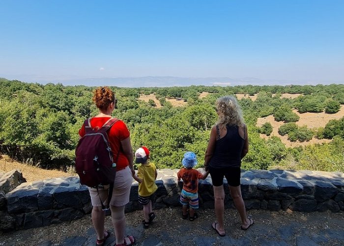 הג'ובה הגדולה יער אודם