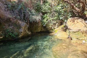 עין ארואי חניון הפיתול נחל מירון