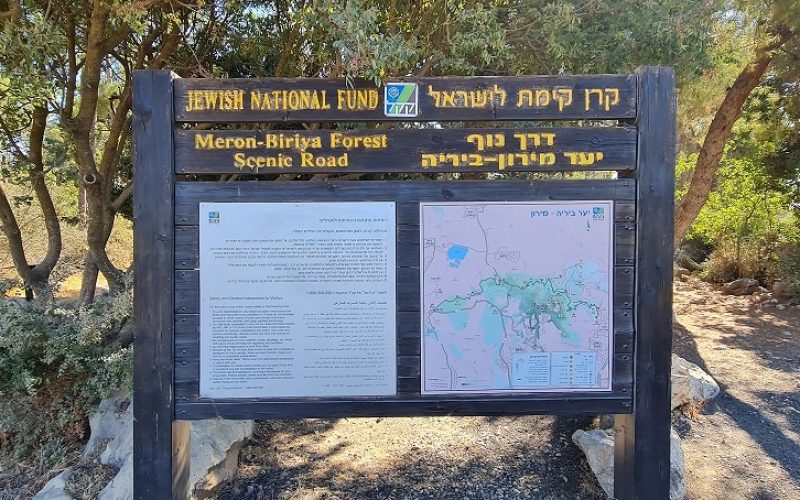 דרך נוף יער ביריה