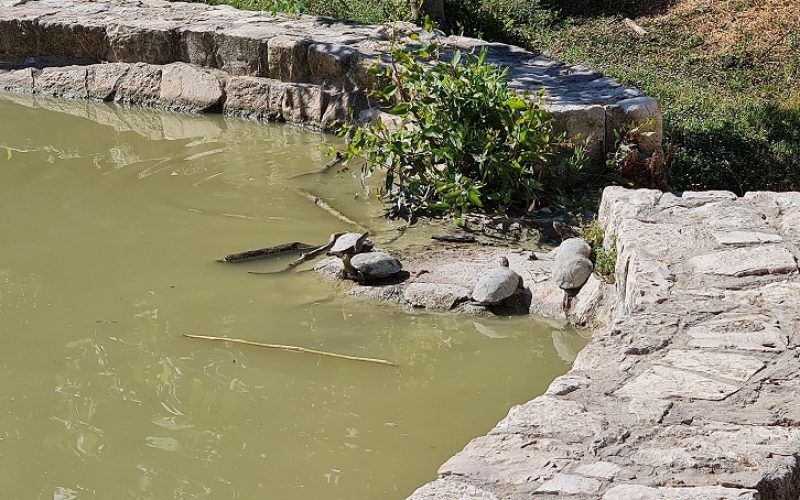 פארק עמק התכלת