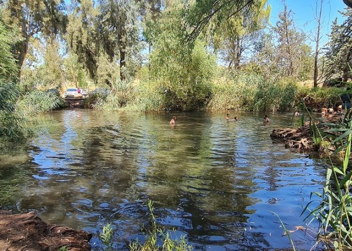 עין צנובר גן ראובן