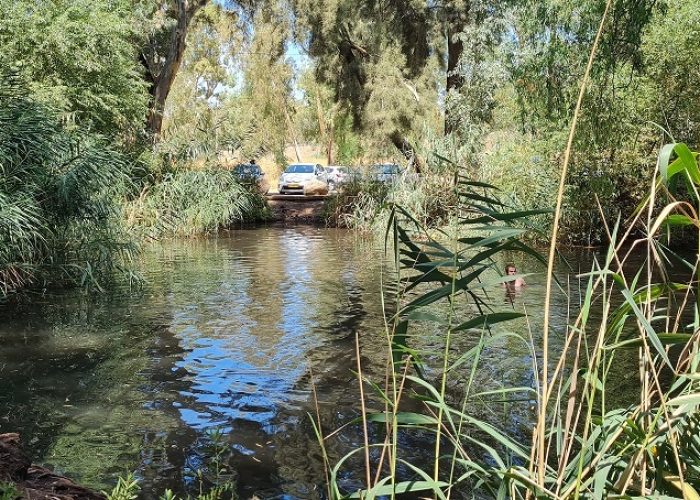 עין צנובר גן ראובן