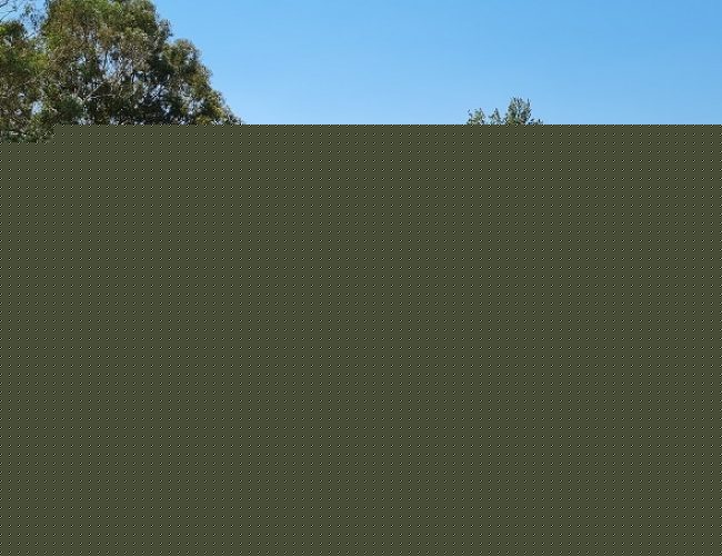 עין תות בריכת אניעם - במרכז רמת הגולן