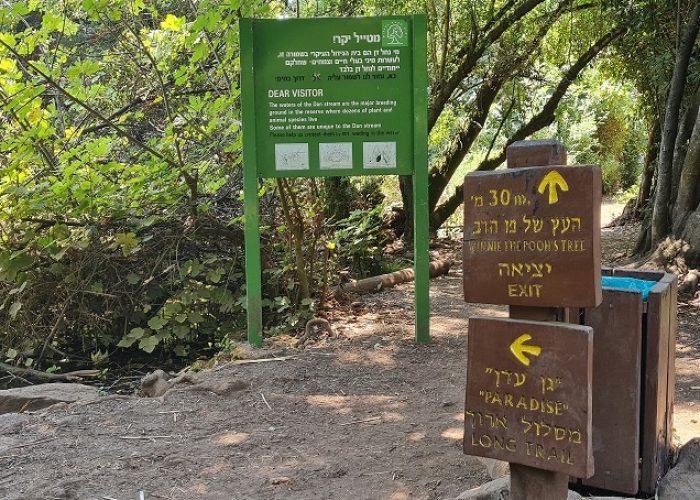 שמורת הטבע תל דן