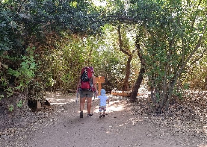 שמורת הטבע תל דן