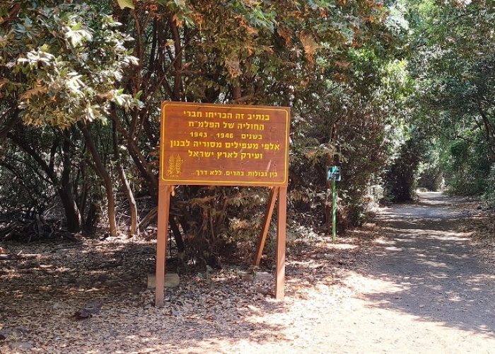 שמורת הטבע תל דן