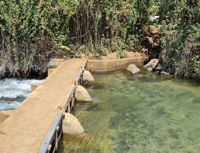 טיולי הדן קיבוץ דפנה