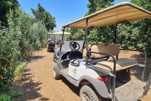 טיולי הדן קיבוץ דפנה