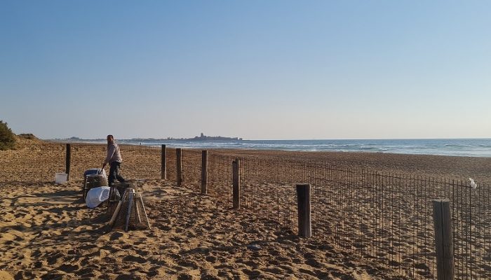 סיור של רשות הטבע והגנים בעקבות בקיעת צבי הים – אבקועים