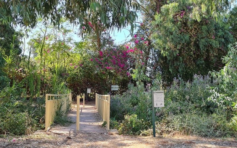 גן לאומי ירקון מקורות הירקון