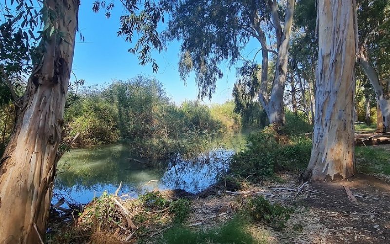 גן לאומי ירקון מקורות הירקון