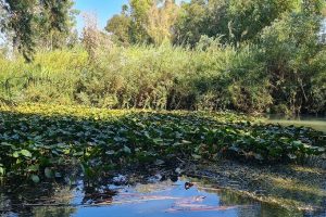 גן לאומי ירקון – מתחם מקורות הירקון