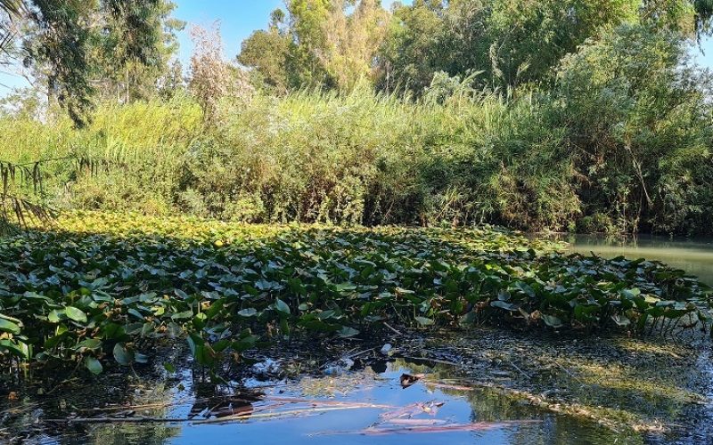 גן לאומי ירקון – מתחם מקורות הירקון