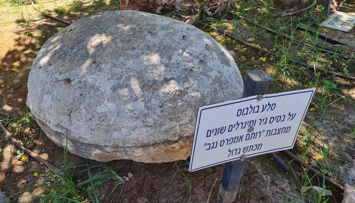 מוזיאון המשאיות והתובלה ברמלה – אטרקציה בחינם