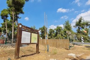 דרך נוף יער ביריה