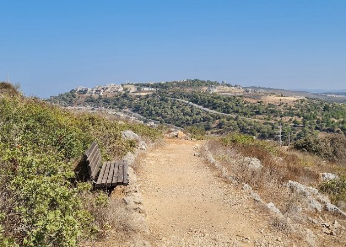 מערת המייש - מערה ובמרכזה עץ המייש הנדיר