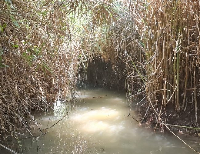 עין עמיקם נחל תנינים בית עלמין אלונה