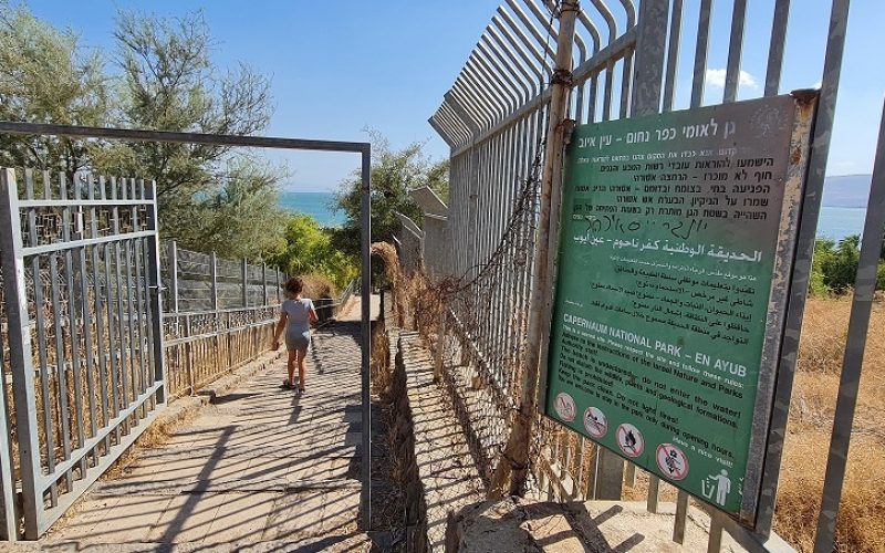 המפל הנסתר בכנרת - עין איוב כפר נחום