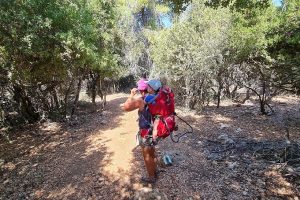 נחל נריה ונחל מורן - טיול בחורש ים תיכוני ופריחה עוניתית