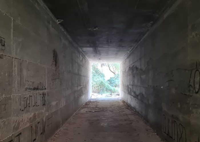 עין ערבות – נחל דישון