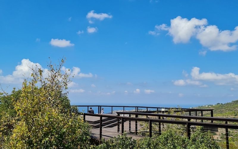 שמורת הטבע חי בר כרמל