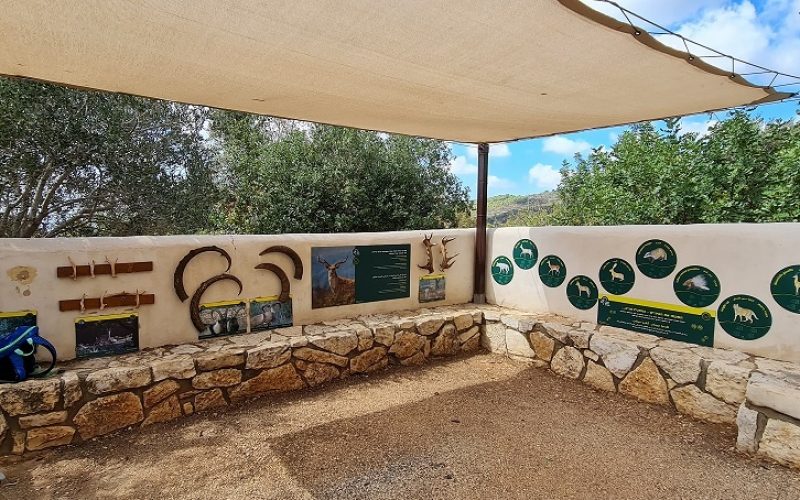 שמורת הטבע חי בר כרמל