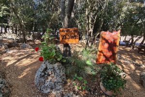 פארק ראני חלבי – דלית אל כרמל