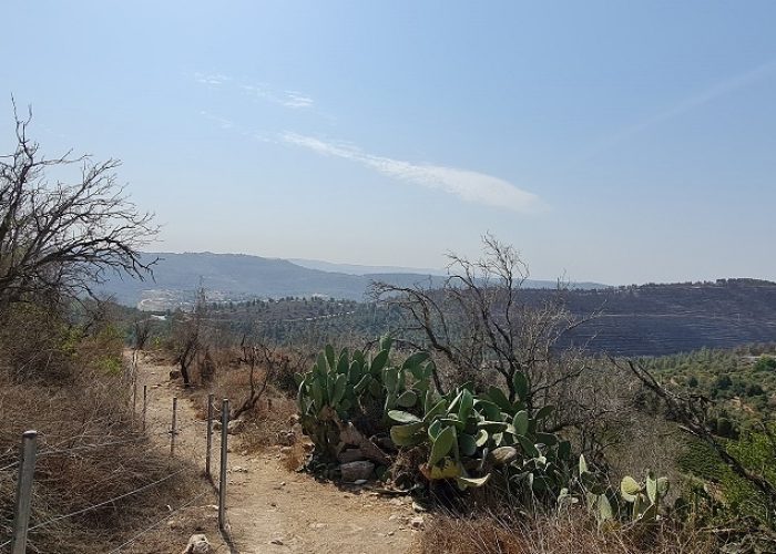 גן לאומי צובה – תל צובה פארק יצחק רבין