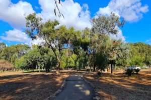 יער האילנות – גן בוטני יערני (ארבורטום) ומרכז מבקרים