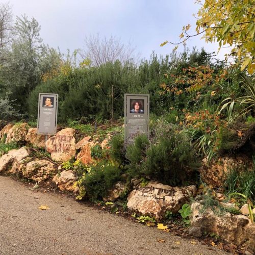 מצפה נמרוד ראש פינה