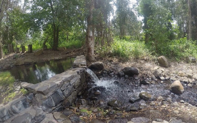 עיינות עדן עין סלוקיה מעיינות עדן