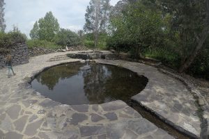 עיינות עדן עין סלוקיה מעיינות עדן