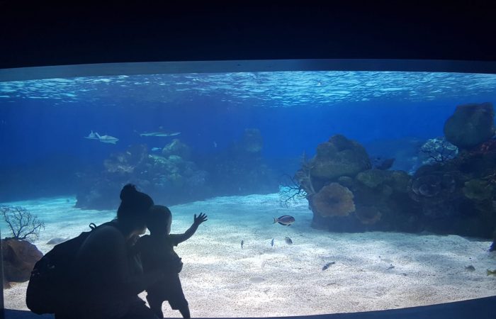 אקווריום ישראל