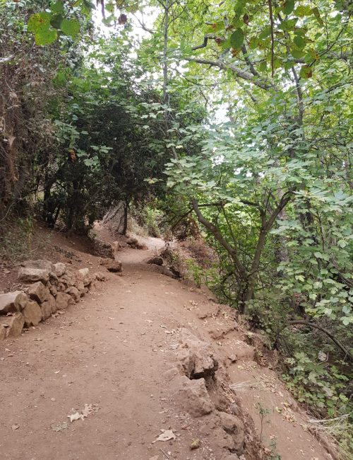 שמורת הטבע נחל עמוד