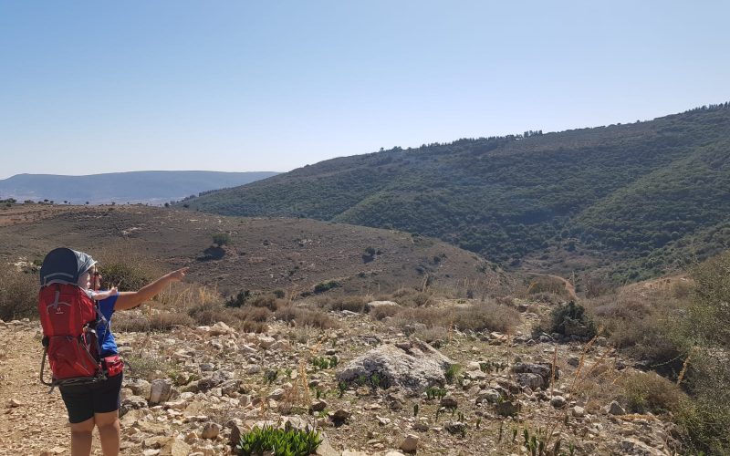 גן לאומי יודפת העתיקה - תל יודפת