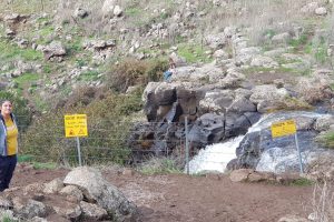 נחל קצרין ופארק קצרין