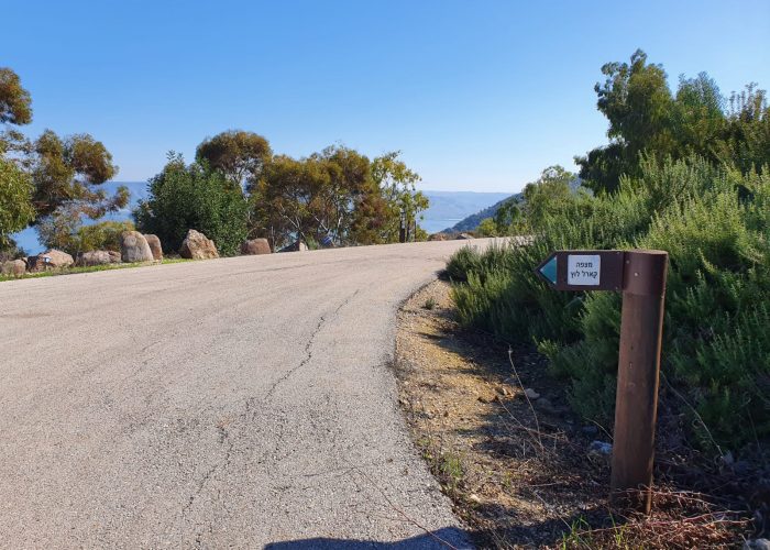 יער שוויץ – טיול בדרך נוף הכנרת