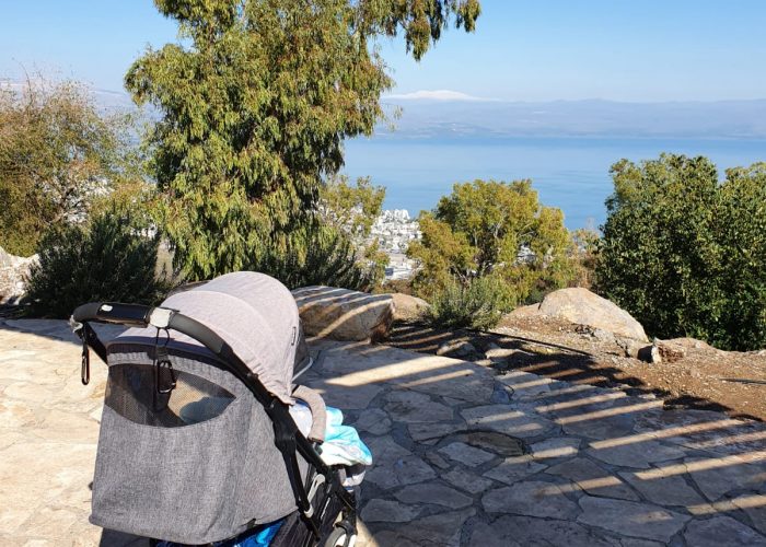 יער שוויץ – טיול בדרך נוף הכנרת