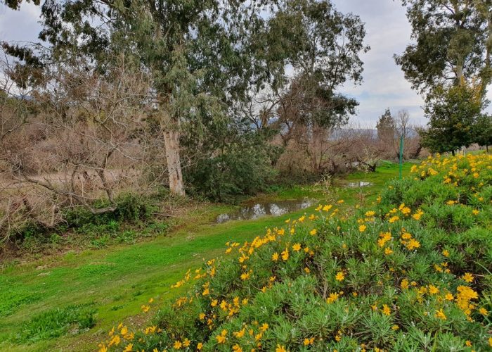 טיילת עמי - טיילת הירדן