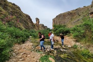נחל עמוד תחתון - עין עמוד