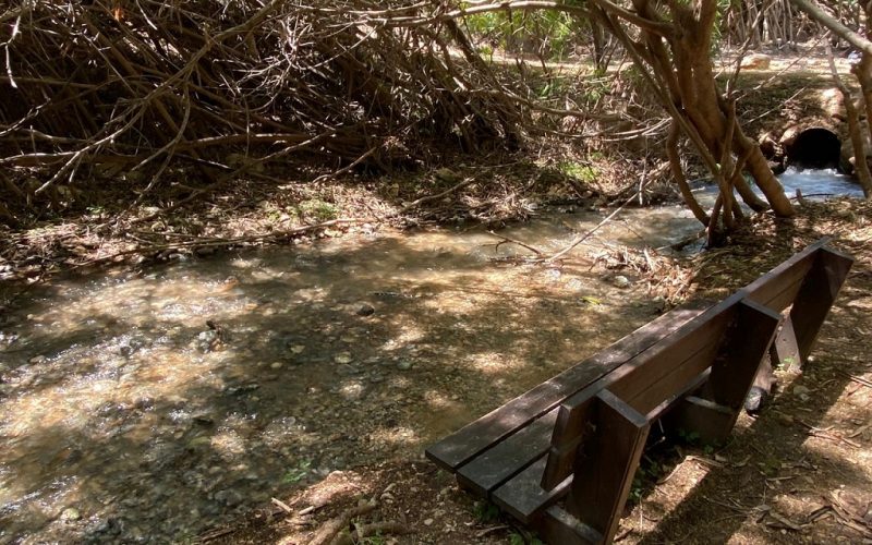 פארק המעיינות המסלול הרטוב עין שוקק